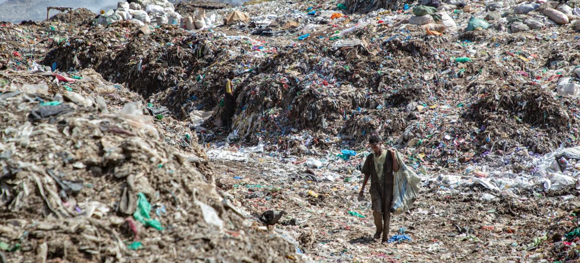 Día Mundial del Medio Ambiente un mundo sin contaminación por plástico