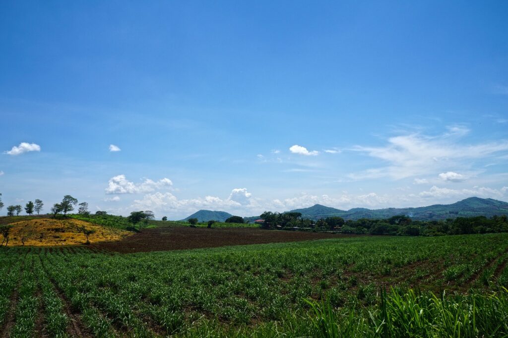 La precisión de un acre