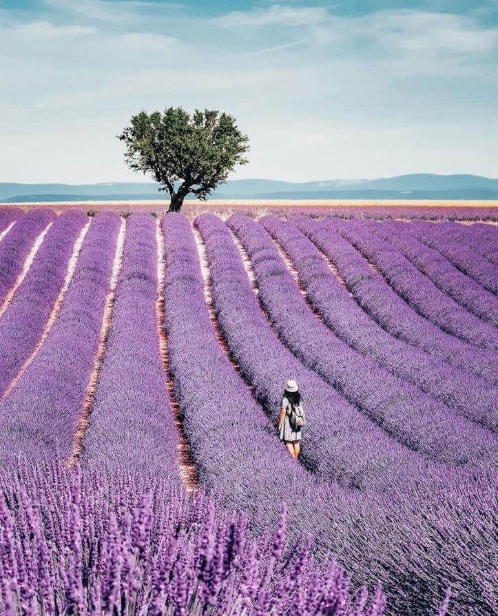 Aix-en Provence