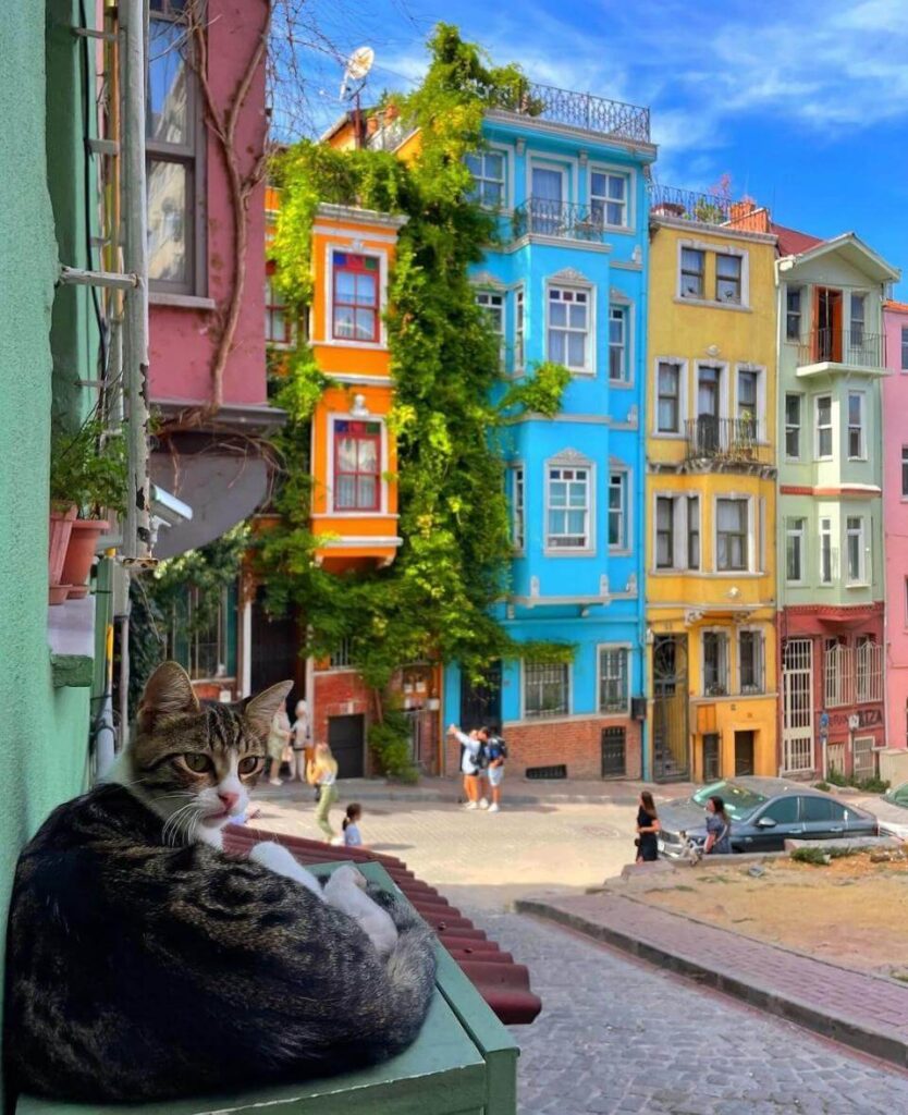 Barrio de Balat, Istambul