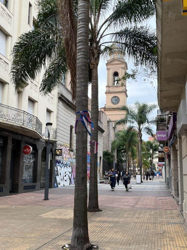 Catedral Metropolitana desde la Peatonal Sarandí