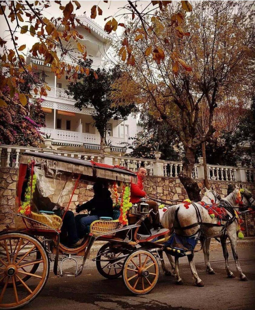 Excursiones para hacer cerca de Estambul: Büyükada