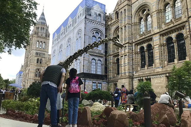 En las afueras del Museo de Historia Natural, en el jardín jurásico