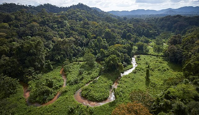 Un estudiante encuentra una selva de México olvidada