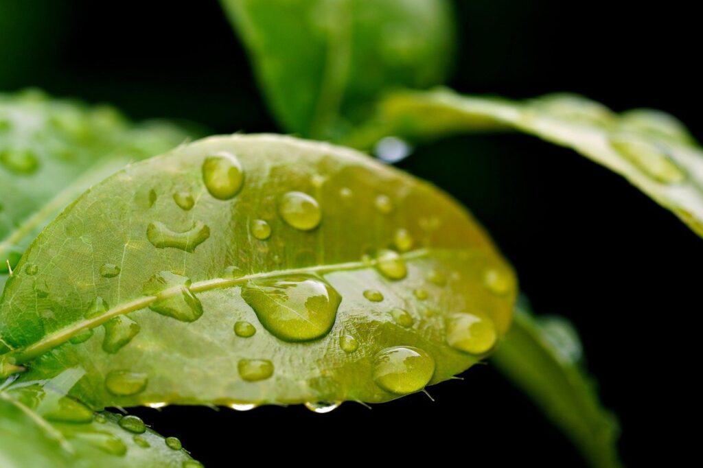 El agua como disolvente universal